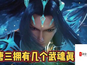 唐三吃宁荣荣的胸襟图片：武魂融合竟如此激情