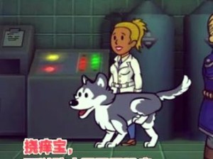 辐射避难所瓶盖党必看！瓶瓶盖盖刷新规律大揭秘