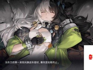 伊洛纳蕾切尔绘本用途及在游戏资源管理中的深度剖析