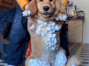 胸前两个大雪球跟着抖动令人困扰该如何应对