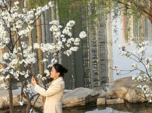 五十岁春天剧情大揭秘各分集精彩内容抢先看，不容错过