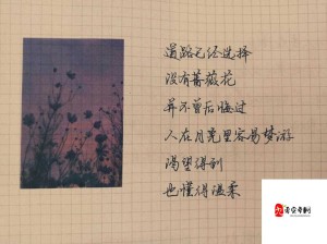 书里喜出望外傍晚之歌，资源管理中的隐喻策略探析