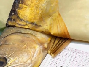 Mozorrio Goldfish Fishing Guide Where to Catch金龙鱼 