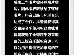 抖音歌词资源管理，唱响高效利用之歌的策略探索