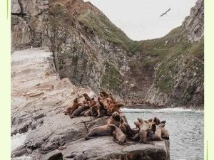 草榴研究所：探索成人世界的神秘之地