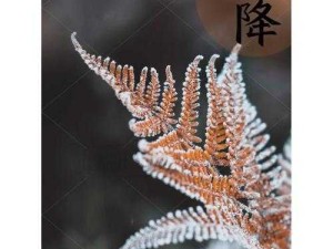 秋日情长 霜降未至 我愿等你共绘浪漫秋日图景