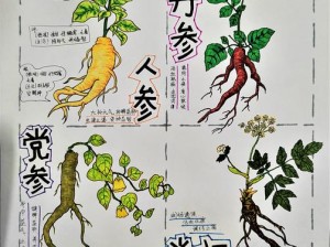 小鸡宝宝考考你，探究药学宝典本草纲目的真正撰者