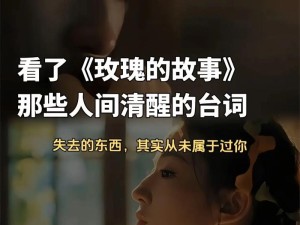经历过的人会懂哪些歌在资源管理中的深度内涵及应用