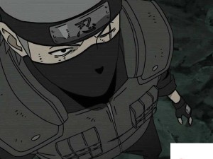 帕克伴卡卡西，忠诚忍犬视角下的资源管理与高效利用解析