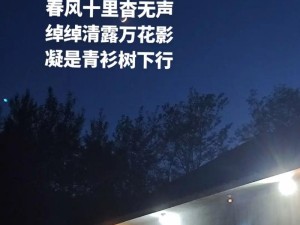 探寻抖音热门旋律源头 小楼听烟雨 你我共陷凡尘曲中迷