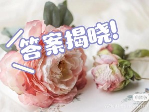 QQ飞车9月9日每日一题大揭秘 答案揭晓惊喜不断