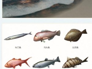 明日之后金枪鱼捕获攻略解锁海洋美味秘籍