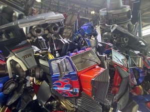 b 站 2024mmm ：精彩内容与无限可能等你来探索