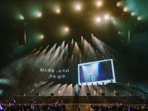 揭秘抖音想带你去看一场演唱会歌曲 资源管理的创新价值应用