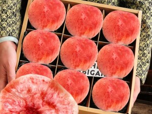 51精产国品久久一二三A区蜜桃的独特魅力与口感体验，揭秘其受欢迎的秘密