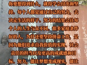 我拼命的努力之歌，资源管理启示录与实践探索