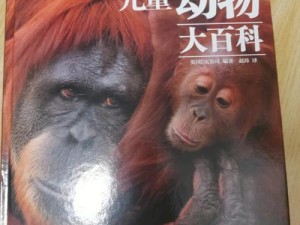 人类豪华版物品百科全书 - Humankind物品全方位解析