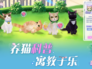 遇见手游表白这只笼子消失了？重寻手游辅助小技巧！