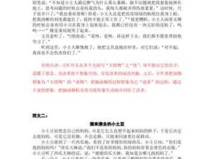 二个人一个与我 b 一个的奇妙故事