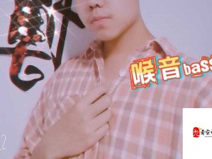 BBOX 入门 BASS：新手快速上手与技巧提升全攻略