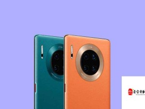欧美无 Mate30Pro 巨：探寻其背后的独特魅力与市场表现