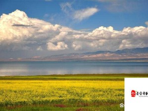 双龙戏珠 1V2：一场精彩绝伦的对决盛宴