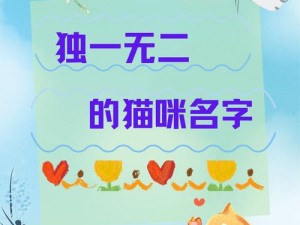 喵与筑游戏中猫咪名字能改吗？详细步骤教你如何给猫咪改名字