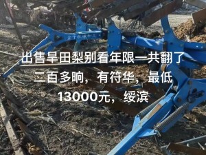 古代人生旱田种植有何秘诀？哪种农作物才是旱田种植的最佳选择？