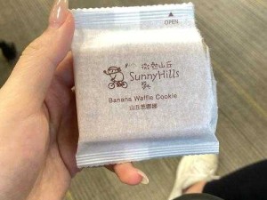 双胞胎一前 一后夹心饼干双子：探索奇妙的相似与不同