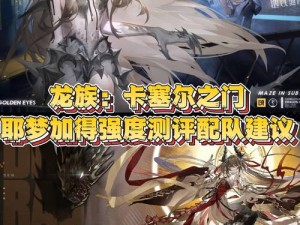 龙族幻想伙伴系统人物管理，资源高效利用与防浪费策略