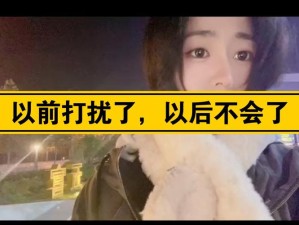 ‘基于以前打扰了我以后不会了’这句歌词出自哪首歌？探索游戏玩法新革命