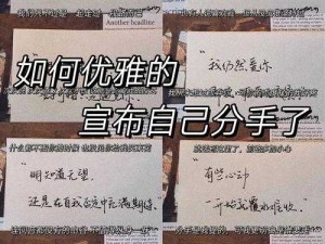 不好优雅都不见了歌曲深度剖析与资源高效管理策略