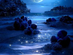 温柔星空之歌，揭秘资源管理中的奥秘与深层价值