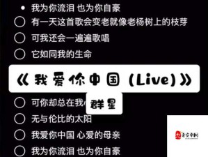 异国之歌，资源管理高效利用与避免浪费的智慧艺术
