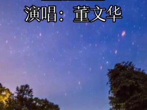 抖音热门歌曲温柔的星空在资源管理中的艺术魅力与应用探索