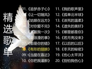 抖音热曲揭秘 银簪插太阳歌词出自哪首歌曲