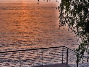 抖音热曲探秘，若可抉择 是否甘愿忘却每段过往记忆