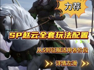 王者模拟战赵云攻略，资源管理技巧与价值最大化解析