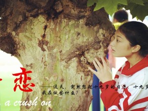 暗恋情缘，探索游戏中的独特情感管理智慧