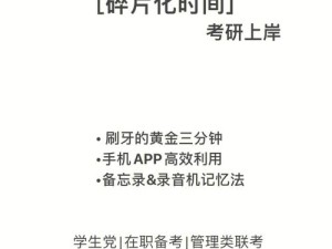 DNF8月19日每日一题解析，资源管理的高效利用与价值最大化策略