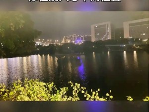 离别曲中心死瞬间——深情世界的无声探寻