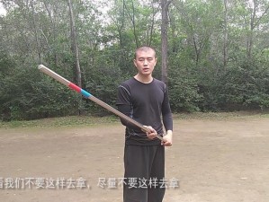 如何在放置江湖中玩转长棍？长棍玩法与战斗技巧全面解析