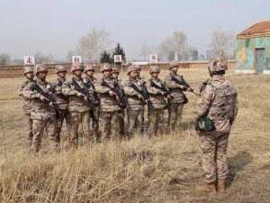 量子特攻深度解析，警卫兵图鉴大揭秘，解锁战场制胜新姿态