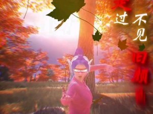 探寻台下人走过不见旧颜色之歌，资源管理的高效利用与价值最大化