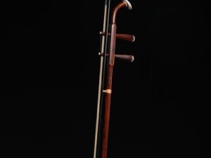 小鸡宝宝揭秘，探索传统乐器二胡的弦数奥秘