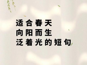 抖音热曲背后的管理智慧，春风在资源管理中的启示与运用