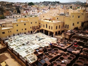 如何玩转我爱拼模型皮革染坊？详细图文攻略揭秘！