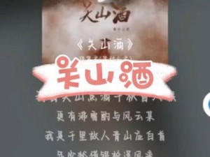 我自关山点酒歌词解析与资源管理应用探讨