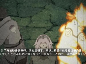 火影忍者手游佩恩奥义彩蛋资源管理与高效运用技巧