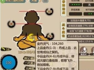 如何掌握修真金丹渡劫攻略？揭秘金丹渡劫技巧在资源管理中的核心作用与实践秘诀